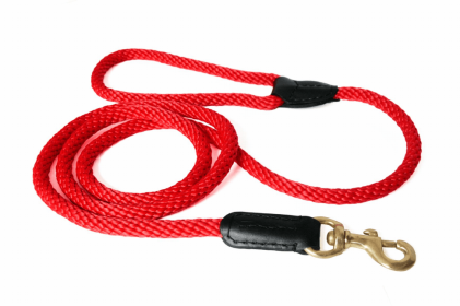 Alvalley Rope and Leather Snap Lead (size: 4ft x 3/4 in)